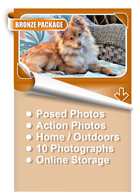 •	Posed Photos •	Action Photos •	Home / Outdoors •	10 Photographs •	Online Storage BRONZE PACKAGE
