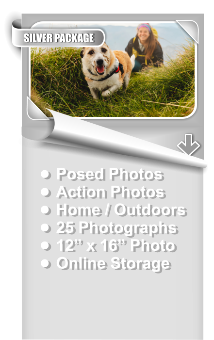 •	Posed Photos •	Action Photos •	Home / Outdoors •	25 Photographs •	12” x 16” Photo •	Online Storage SILVER PACKAGE