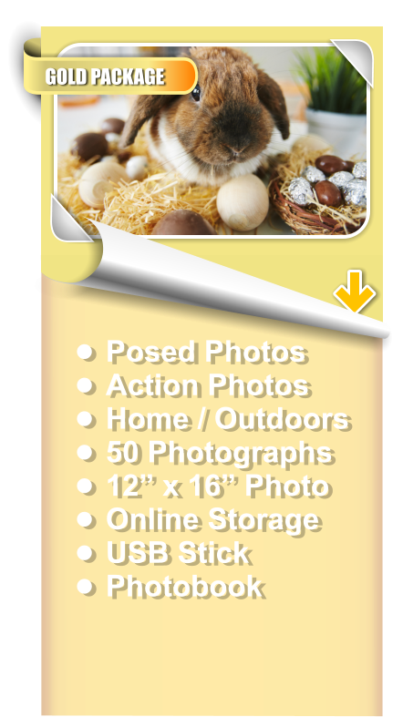 •	Posed Photos •	Action Photos •	Home / Outdoors •	50 Photographs •	12” x 16” Photo •	Online Storage •	USB Stick •	Photobook GOLD PACKAGE