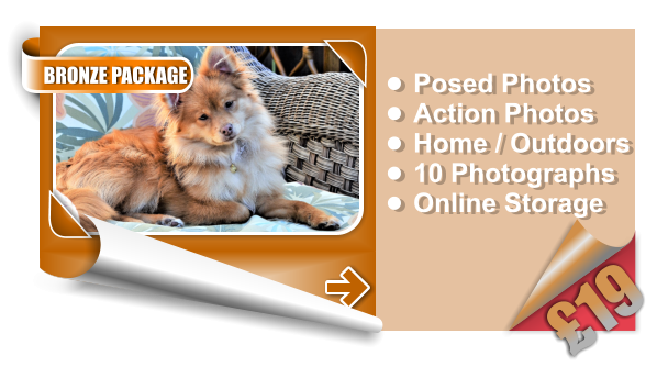 •	Posed Photos •	Action Photos •	Home / Outdoors •	20 Photographs •	Online Storage BRONZE PACKAGE •	Posed Photos •	Action Photos •	Home / Outdoors •	10 Photographs •	Online Storage £19