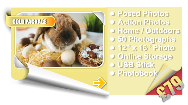 •	Posed Photos •	Action Photos •	Home / Outdoors •	50 Photographs •	12” x 16” Photo •	Online Storage •	USB Stick •	Photobook £79 GOLD PACKAGE
